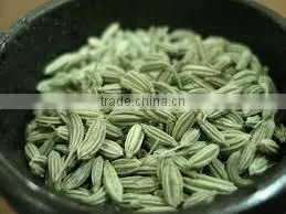 Fennel Seed Oil photo-3