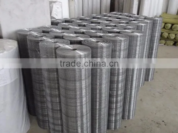 Electro-galvanized 1/2 Inch Mesh Welded Wire Mesh for Construction photo-3