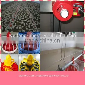 Industrial Poultry Equipment Chicken Farm photo-5