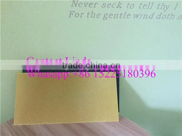 Beekeeping Equipments Plastic Foundation Sheet, Comb Foundation Sheet photo-4