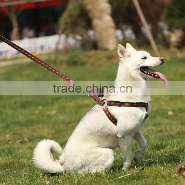 Durable Wholesale Pet Dog Leash and Harness photo-2