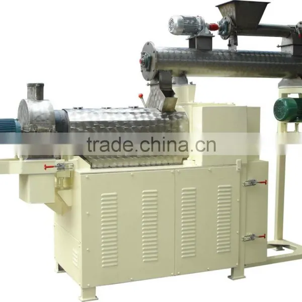 Twin Screw Extruder