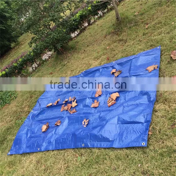 Variety Customized Retardant Tarpaulin Cover photo-2