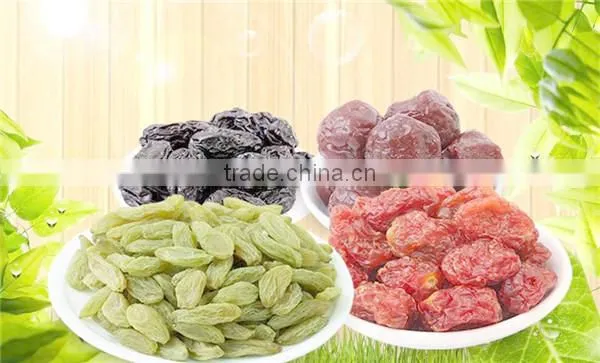 Good Quality Cranberry Drying Oven/cranberry Chip Dryer With Good Price photo-5