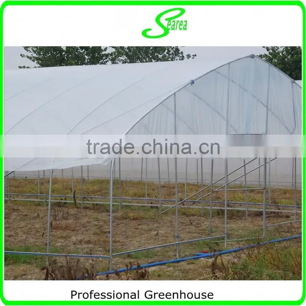High Quality Film Blue Greenhouse for Sale photo-3