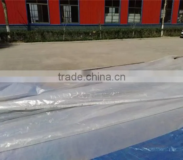 Factory Supply Agricultural Tunnel Greenhouse Clear Plastic Film to Export photo-4