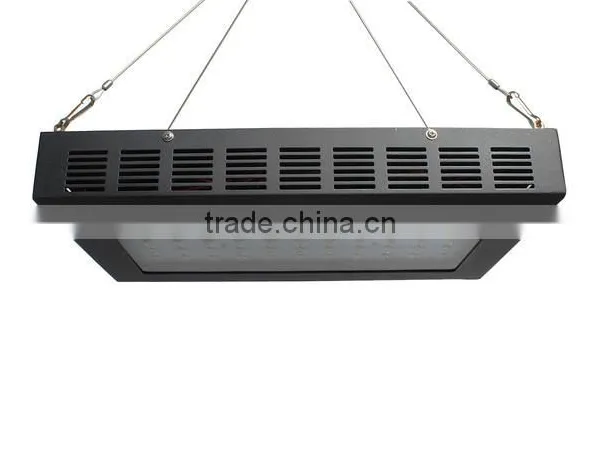 Designer Goods From Twilight Group China Cree Led Grow Light 2016 Looking for Exclusive Distributor photo-4