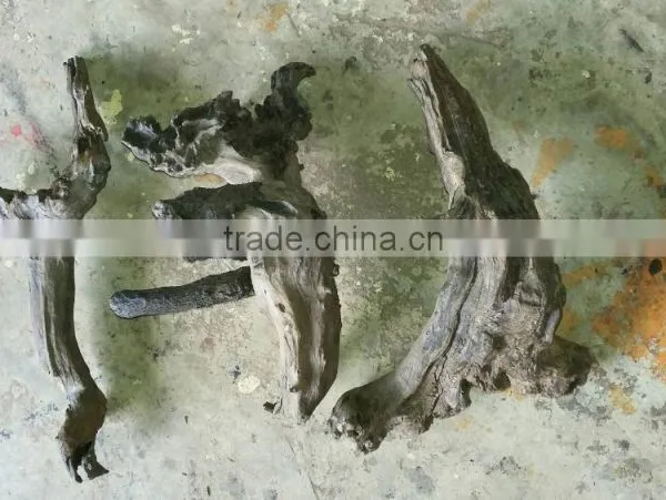 Natural Driftwoods for Aquarium Decoration photo-4