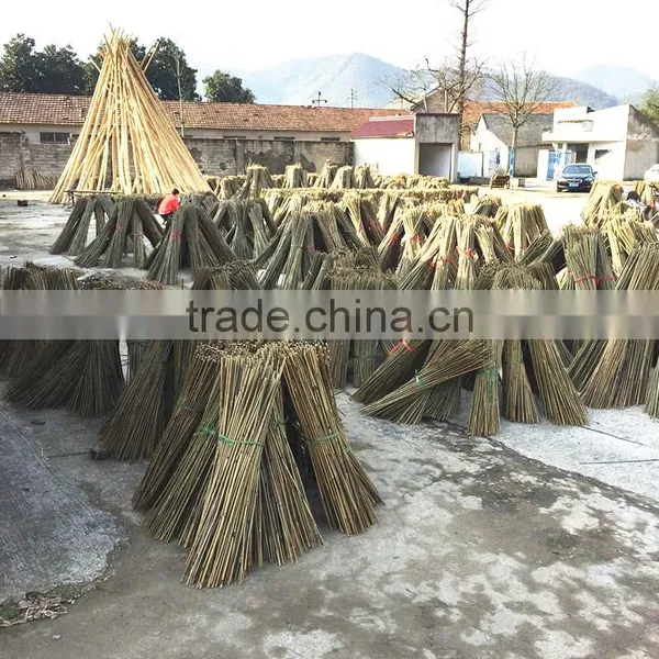 Small Package of Bamboo Poles Wholesale in Market Sale photo-5