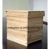 Bee Hive