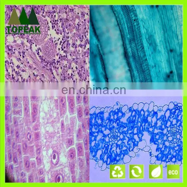 Educational Medical Microbiology Prepared Slides Botany Microscope Slides Microbiology Prepared Slides photo-2