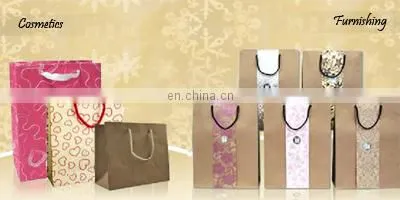 Garments Paper Carry Bags