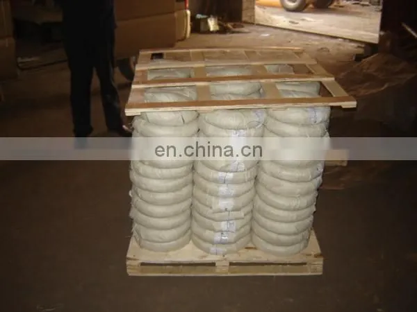 Manufacturer Directly Supply Galvanized Wire 20 photo-5
