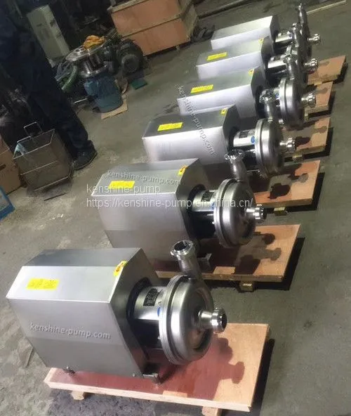 SCP Stainless Steel Sanitary Pump