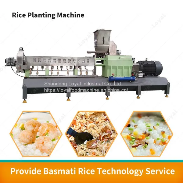 Nutrition Rice Machine Instant Rice Processing Line Artificial Instant Rice Food Machine photo-2