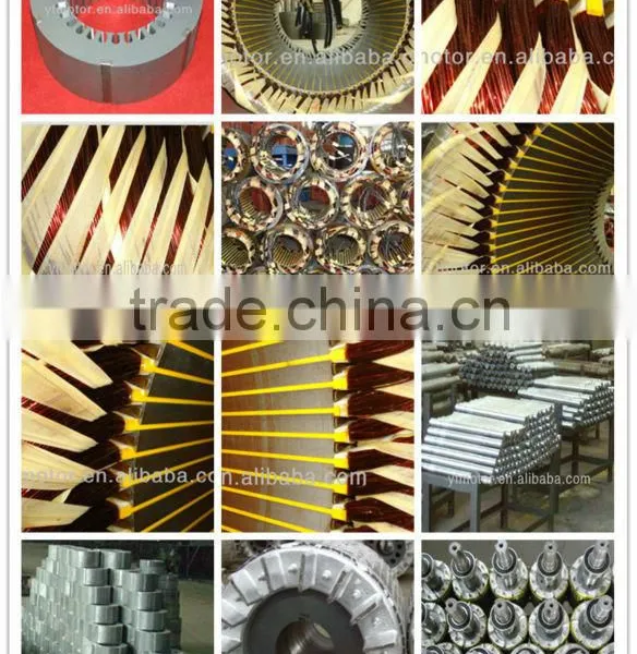 High-quality YLJ Three Phase Torque Motor Made in China photo-6