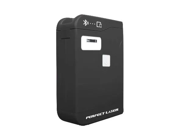 Perfect Laser Portable Handheld Batch Coder Mini Printer