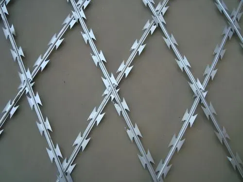 Hot Selling Galvanized Multiple Types Razor Barbed Wire photo-3