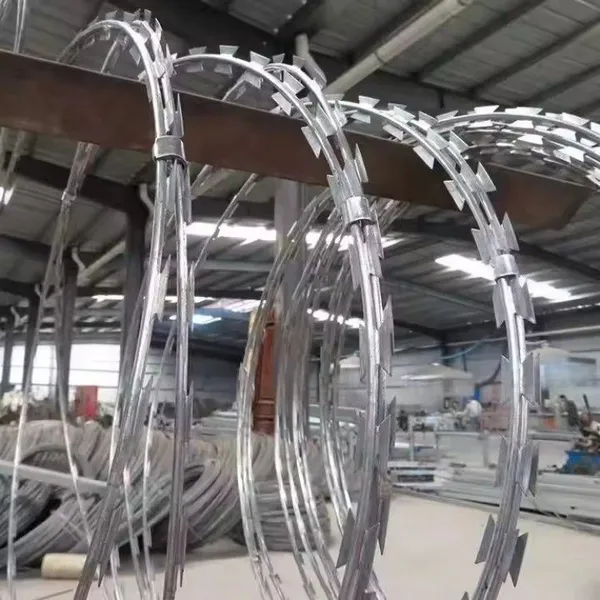 Factory Direct Galvanized Razor Blade Barbed Wire Roll Concertina Coil for Fence Protection photo-3