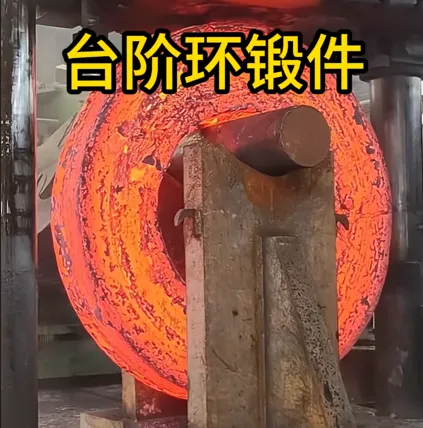 Step Ring Forgings | Forged Step Ring Components | Factory Customization