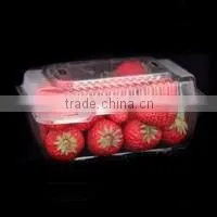 Vacuum Forming Machine,Thermoforming Machine photo-3