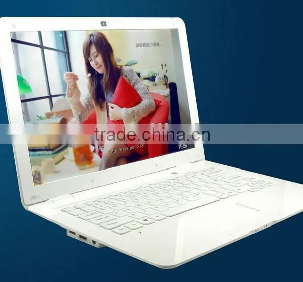 VIA WM8880 4gb Ram Wireless Camera Laptop Market in China
