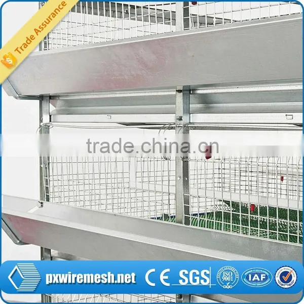 Metal Breeding Cage/galvanized Steel Wire Mesh Quail Breeding Cages,metal Quail Cage,commercial Quail Cages photo-6