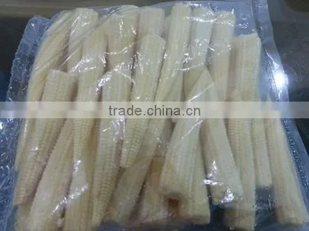 Organic Fresh Baby Sweet Corn photo-2
