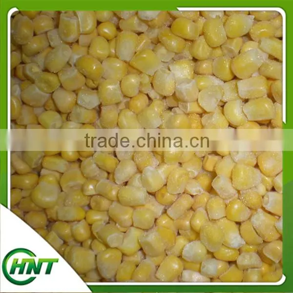 Frozen Sweet Corn Kernels/sweet Corn photo-3