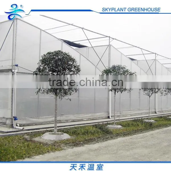 Sp-M-S-F-H Serrated Multi-Span Horticultural Plastic Film Greenhouse photo-3