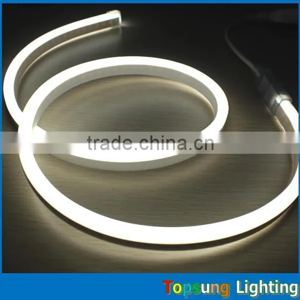 Home Decoration 8*16mm Led Flex Neon Light for Building photo-4