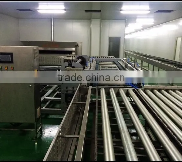 Non-standard Roller Deck and Bending Conveyor photo-5