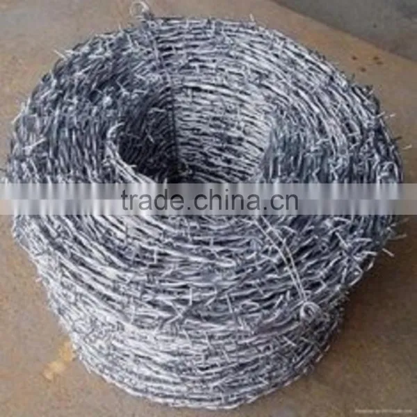 Galvanized Barbed Steel Wire for Farm From Factory Direct Sale photo-4
