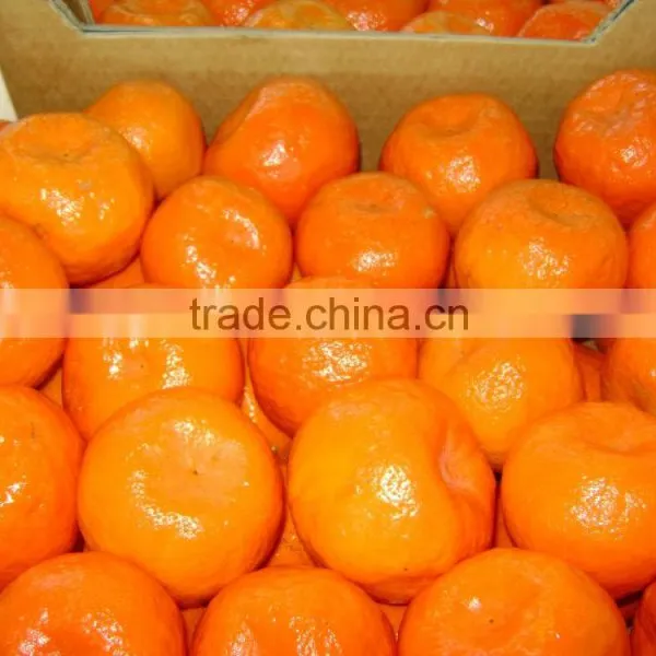 Fresh Mandarin photo-2