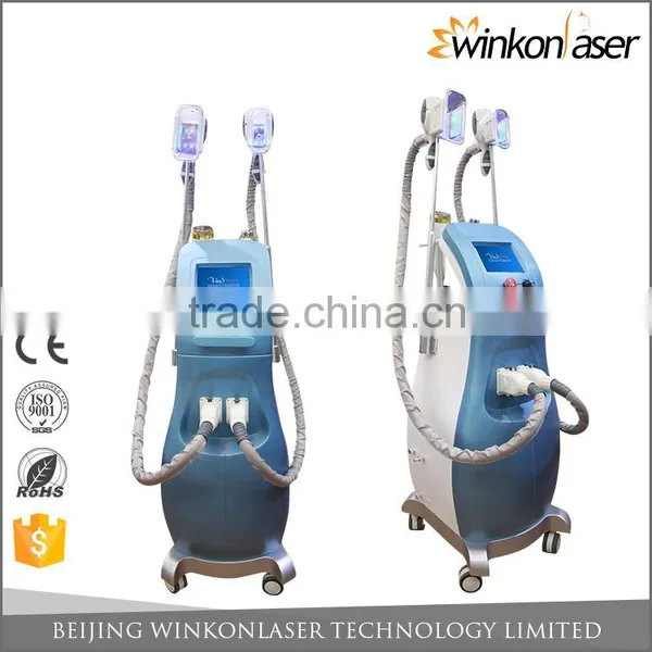 Price Cryolipolysis / Cryolipolysie Weight Loss / Cryolipolysis Body Slimming Machine Fat Melting photo-2