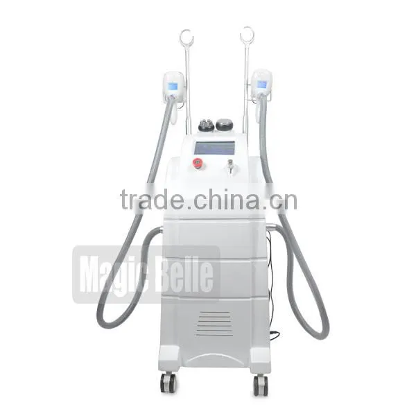 The Factory Price Slimming Beauty Equipment Fat Freezing Slimming Cryolipolysis Laser for Salon Use photo-2