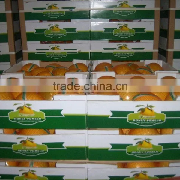 Guangxi Pomelo Fresh Pomelo for Sale photo-3