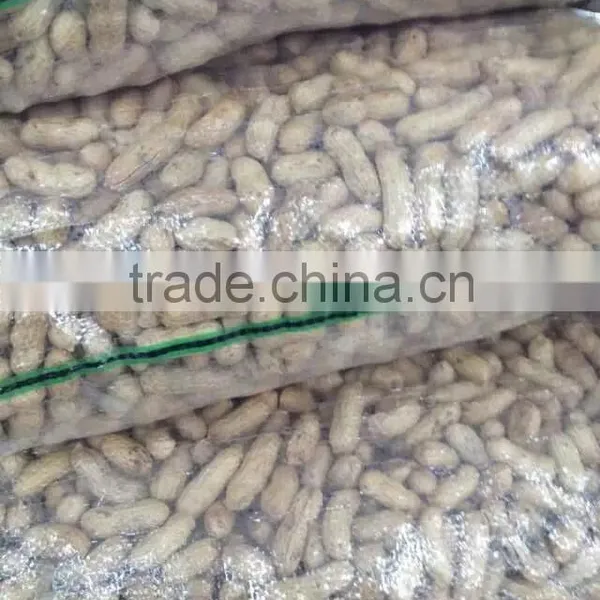 Peanut in Shell for Hot Sell photo-2