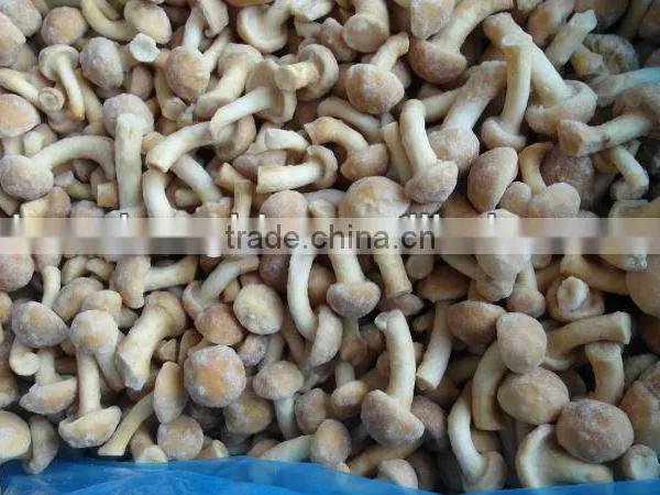 IQF Nameko photo-3