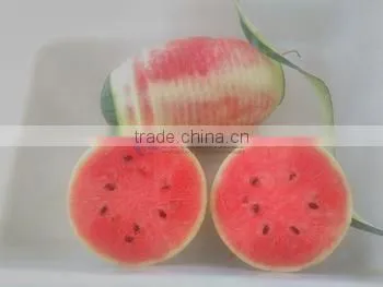 Peeler Type Fruit Process Equipment Automatic Coconut Melon Peeling Machine With CE photo-4