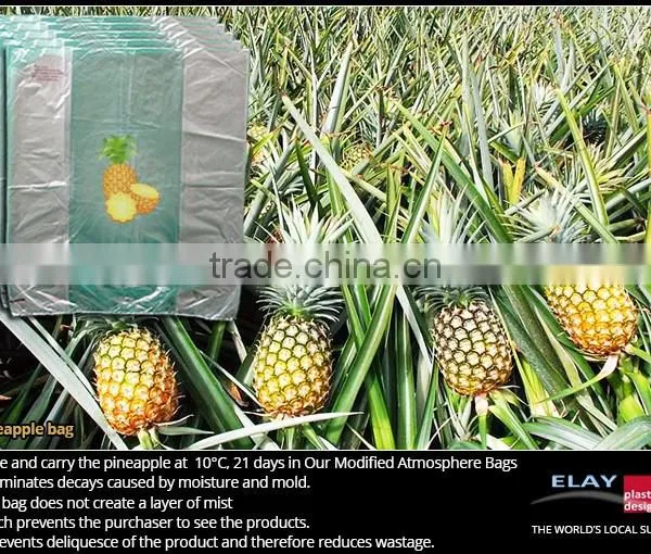 Dragon Fruit Bag photo-6