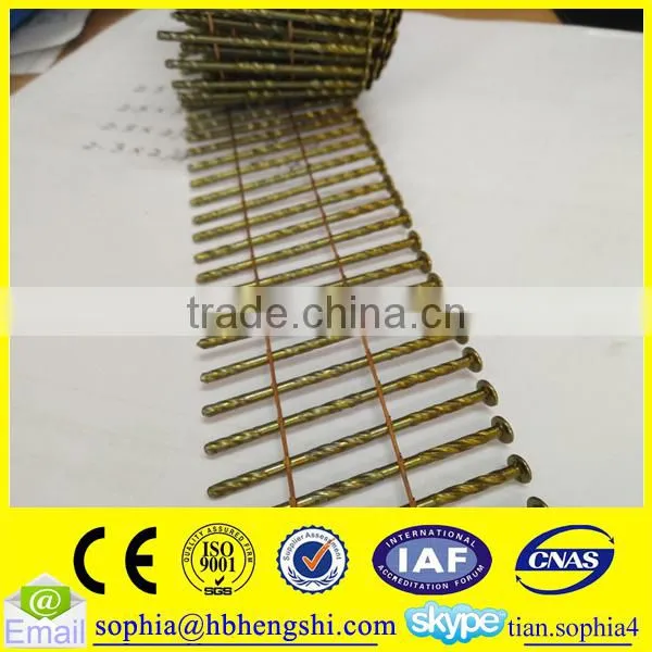 Wire Coil Nails photo-4