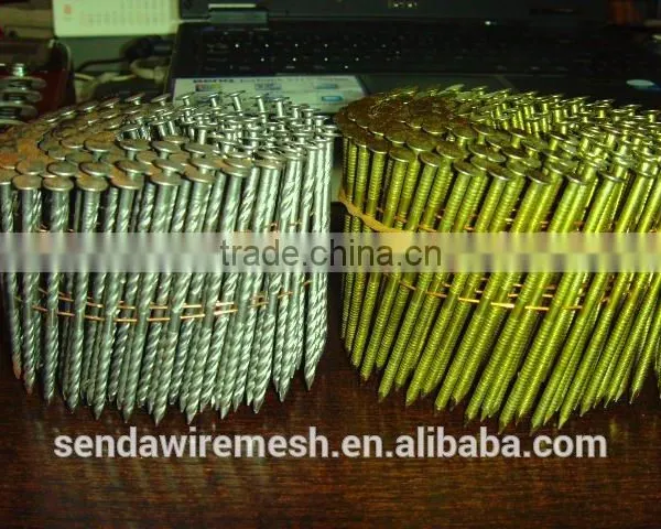 Common Nails/roofing Nails /iron Nails photo-6