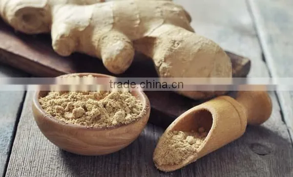 Ginger Powder photo-3