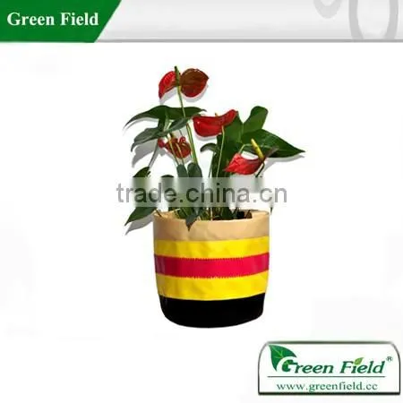 Stylish Flower Pots, Flower Pots Wholesale, Canvas Flower Bag photo-2