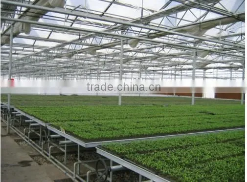 Aluminum Frame Glass Greenhouse PC Greenhouse With Aluminum Structure Single Span With Automatic Ventilation Greenhouse photo-2