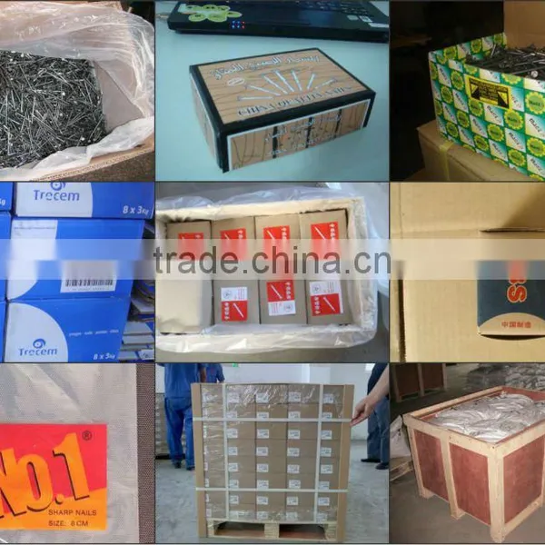 Factory Product Common Nail/common Iron Nail photo-2
