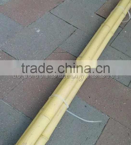 Hollow Guadua Bamboo Poles Can be Split photo-3