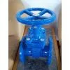(BS) Cast Iron Gate Valve (NRS)