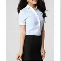 Women\'s Yarn Dyed Short Sleeve Stripe Shirt